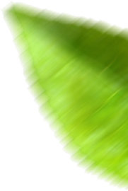 Folha-4.png Folha-4.png